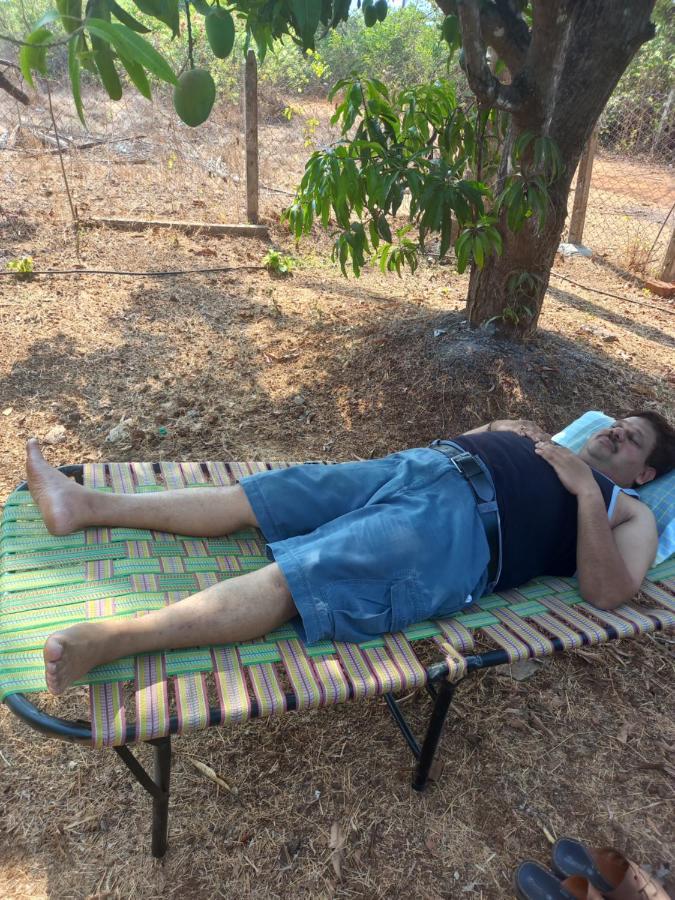 Misty Woods Eco Cottages Harihareshwar Exterior foto